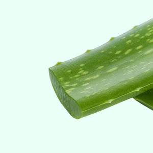 Aloe Vera Extract